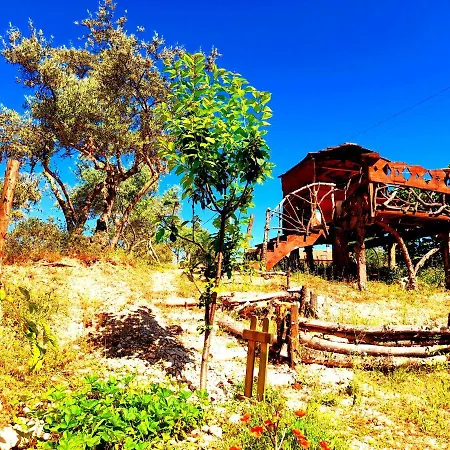 Sofia-la Nella Riserva Guest house Pettorano sul Gizio